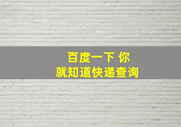 百度一下 你就知道快递查询